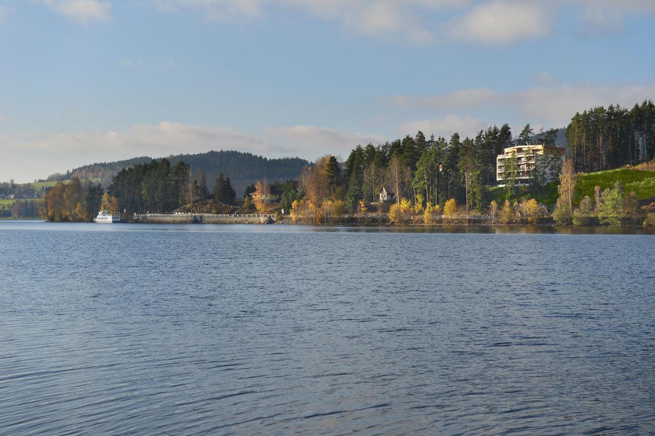 Element Lakeside Apartments Липно-над-Влтавой Экстерьер фото